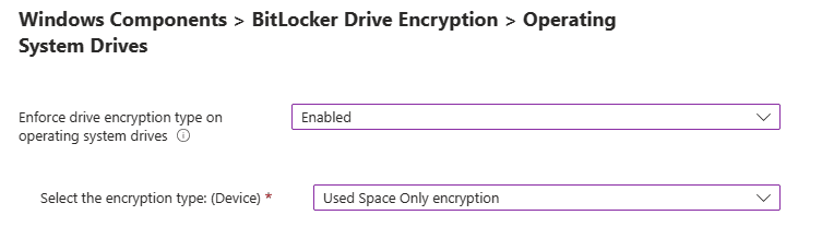 OS drives